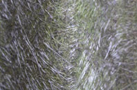 East Hampnett fibreglass roof work